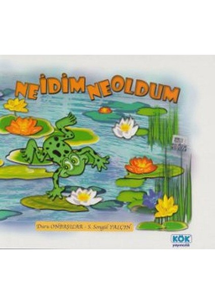 Ne Idim Ne Oldum
