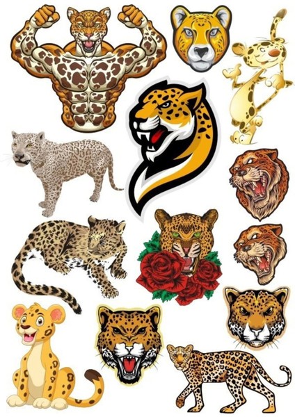 Kaplan Sticker Set-5 15 Parça Telefon, Tablet, Defter, Laptop Sticker