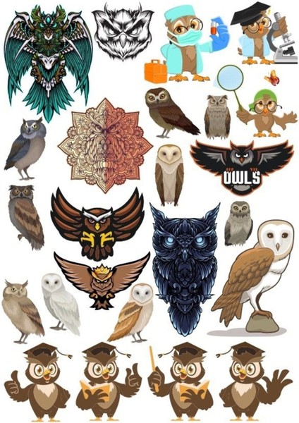 Baykuş Owl Sticker Set-16 16 Parça Telefon, Tablet, Defter, Laptop Sticker