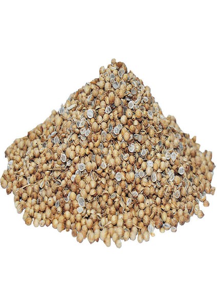 Kişniş Doğal Tane 1000 gr Paket