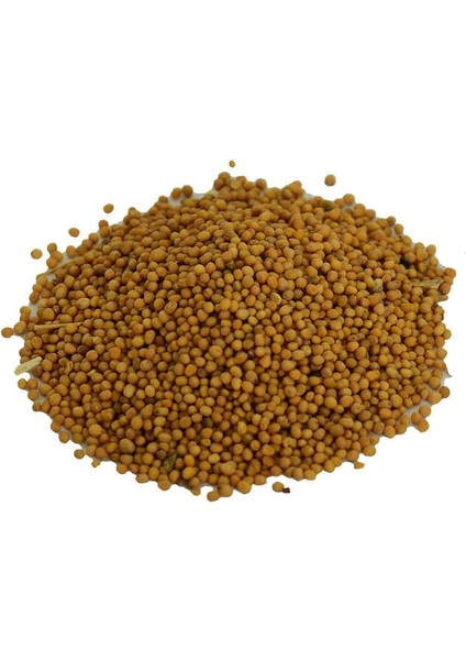 Hardal Tohumu Tane Doğal Sarı 100 gr Paket