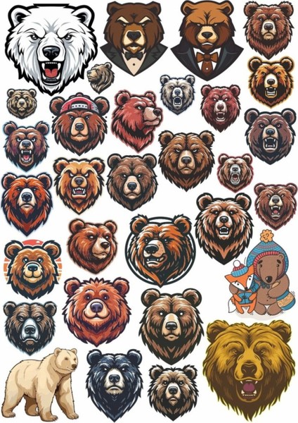 Kızgın Ayı Sticker Set 1