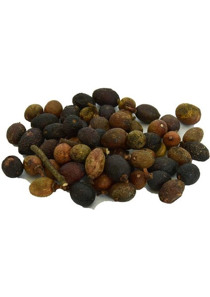 Defne Tohumu 100 gr Paket