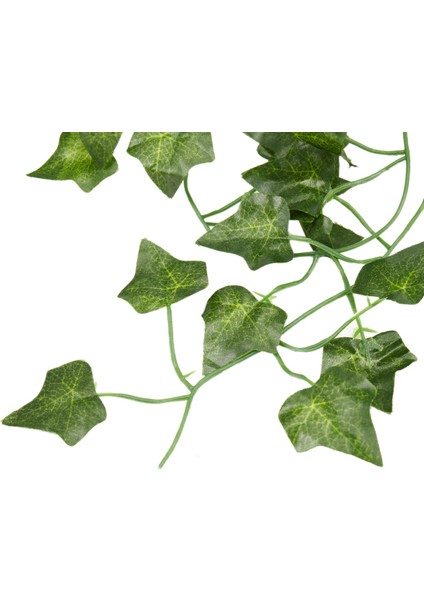 2 M Uzun Yapay Bitkiler Yeşil Sarmaşık Yaprakları Yapay Üzüm Asma Sahte Parthenocissus Yeşillik Yaprakları Ev Düğün Dekorasyon, Sarmaşık Bölümü (Yurt Dışından) modelleri