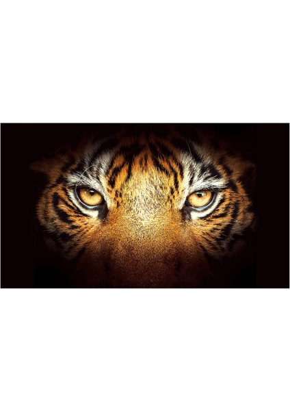 A166 Kamyon Suv Pickup Için 3D Arka Ön Cam Etiketi Güneşlik Dekor Arka Pencere Camı Posteri 168X74 CM/66X29 Inç (Yurt Dışından)