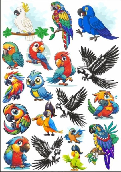 Papağan Sticker Set