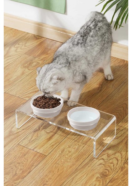 Kedi ve Köpek Dekoratif 2'li Seramik Pleksi Mama & Su Kabı+ Paspas fiyatları