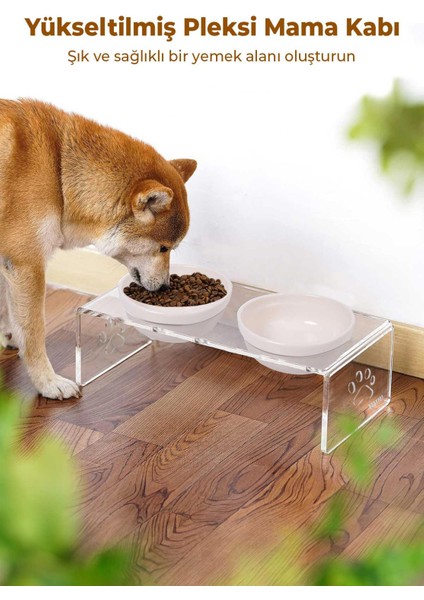 Kedi ve Köpek Dekoratif 2'li Seramik Pleksi Mama & Su Kabı+ Paspas modelleri