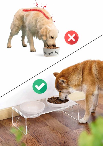 Kedi ve Köpek Dekoratif 2'li Seramik Pleksi Mama & Su Kabı+ Paspas fırsatları
