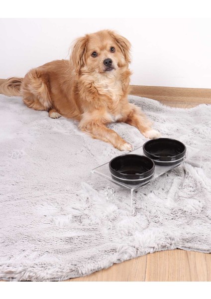 Kedi ve Köpek Dekoratif 2'li Seramik Pleksi Mama & Su Kabı+ Paspas