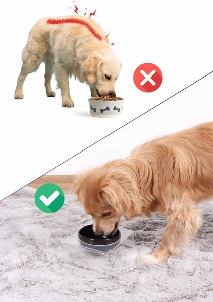 Kedi ve Köpek Dekoratif 2'li Seramik Pleksi Mama & Su Kabı+ Paspas fiyatları