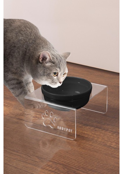 Kedi ve Köpek Dekoratif Tekli Seramik Pleksi Mama & Su Kabı+ Kedi Paspası