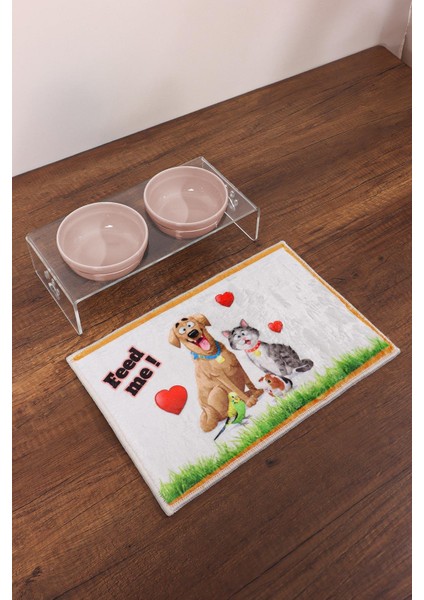 Kedi ve Köpek Dekoratif 2'li Seramik Pleksi Mama & Su Kabı + Kedi Paspası Pembe