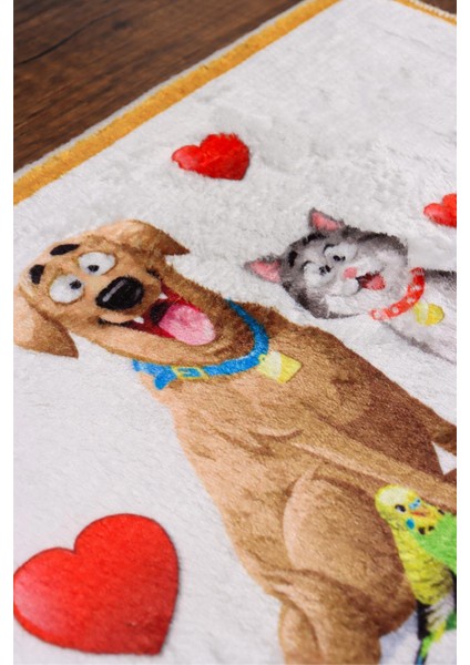 Kedi ve Köpek Dekoratif 2'li Seramik Pleksi Mama & Su Kabı + Kedi Paspası Pembe indirimleri