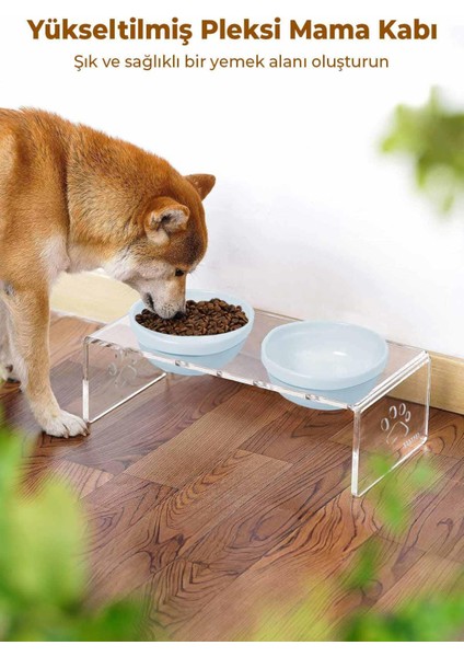 Kedi ve Köpek Dekoratif 2'li Seramik Pleksi Mama & Su Kabı + Kedi Paspası Mavi modelleri