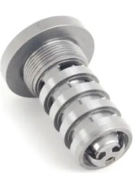 Audi Q5 A3 A4 S4 A6 S6 A8 Vw Passat Tiguan Jetta Beetle Için Motor Zamanlama Kontrol Vanası Solenoidi 06H109257A (Yurt Dışından) modelleri