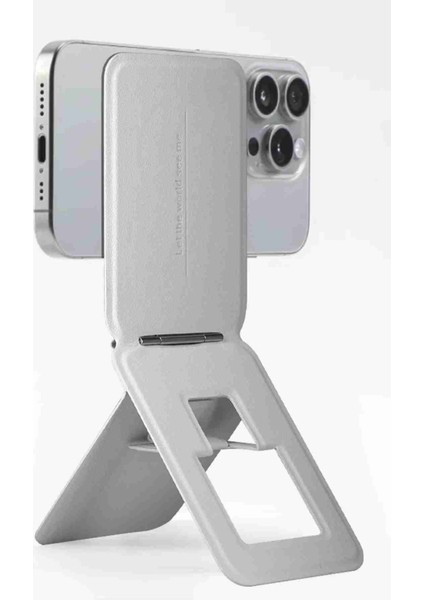 HS-017 Fuchsia Standlı Manyetik Kartlık modelleri