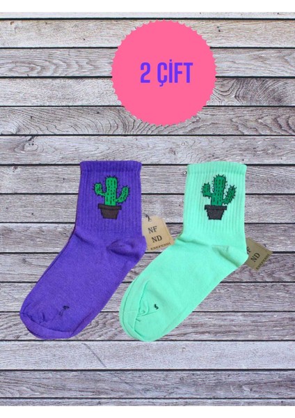 2 Çift Kaktüs Desenli Pamuklu Yumuşak Dikişsiz Çorap Arakonç Kadın Yeşil ve Mor Soket Çorabı 36-40