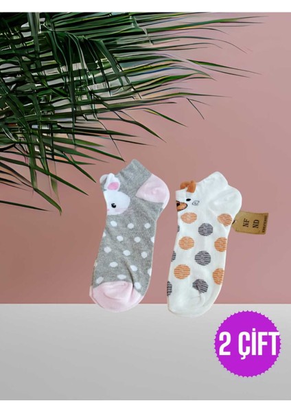 Patik Çorap Kulaklı Pamuklu Desenli Kadın Çorabı 36-40 Puantiyeli ve Gripembe 2 Çift