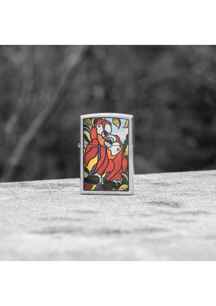 Çakmak Z-46142 fiyatları