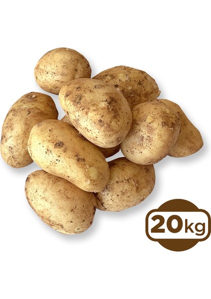 Patates Taze 20 kg