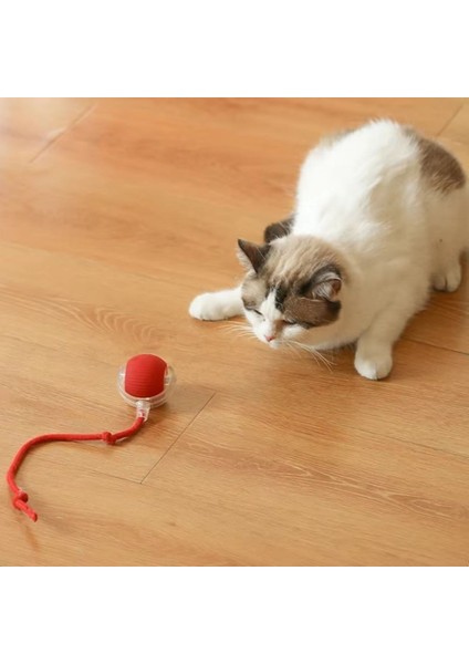 Pratikaı Şarjlı Otomatik Hareketli Kedi & Köpek Oyuncak Topu | Akıllı & Etkileşimli fırsatları