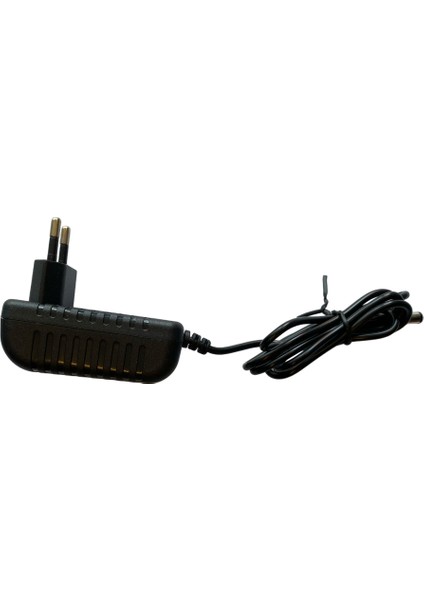 Horoz Vıta-60 12V 5AMPER 25WATT Plastik Kasa Priz Tipi Adaptör(5.5x2.5 Uçlu)