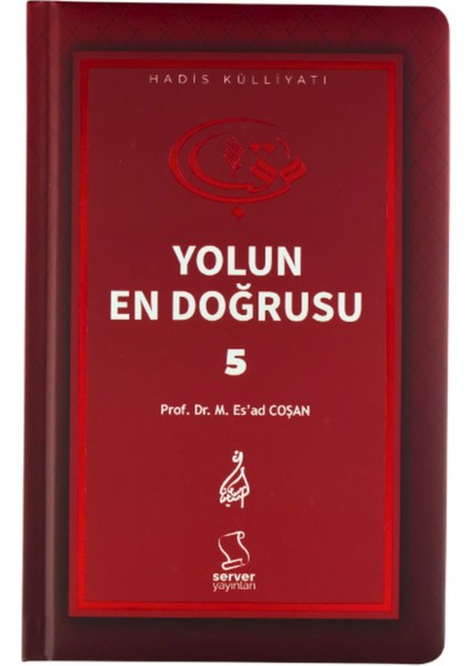 Yolun En Doğrusu 5 - Mahmud Esad Coşan modelleri