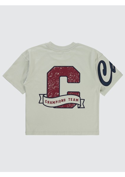 Erkek Çocuk Tişört 10-13 Yaş Bordo-Beyaz fiyatları