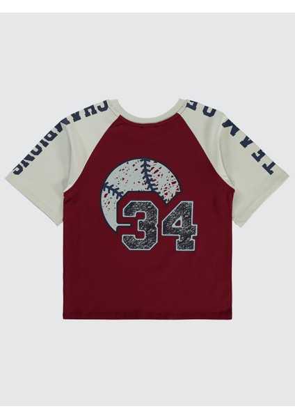 Erkek Çocuk Tişört 10-13 Yaş Bordo fiyatları