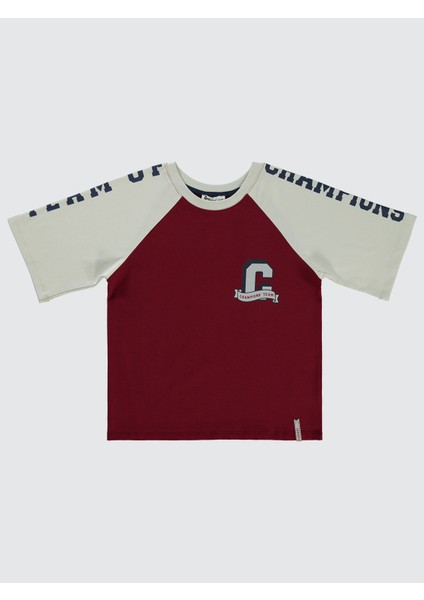 Erkek Çocuk Tişört 10-13 Yaş Bordo modelleri