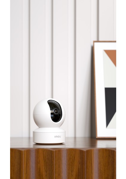 4 Mp Iç Ortam Pt Kamera (Dk2) IPC-DK2-4H1W