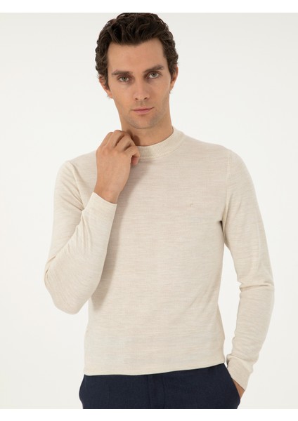 Erkek Bej Slim Fit Basic Kazak 50296402-VR011
