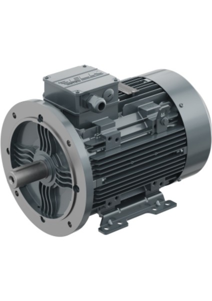 5,5 Kw, 1500 Devir, B35 Ayaklı Flanşlı