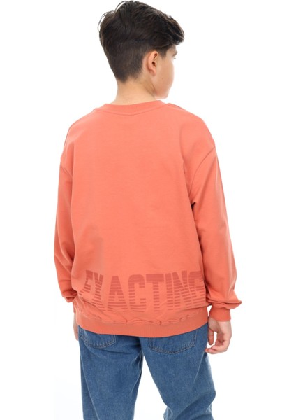 Erkek Çocuk Baskılı Sweatshirt