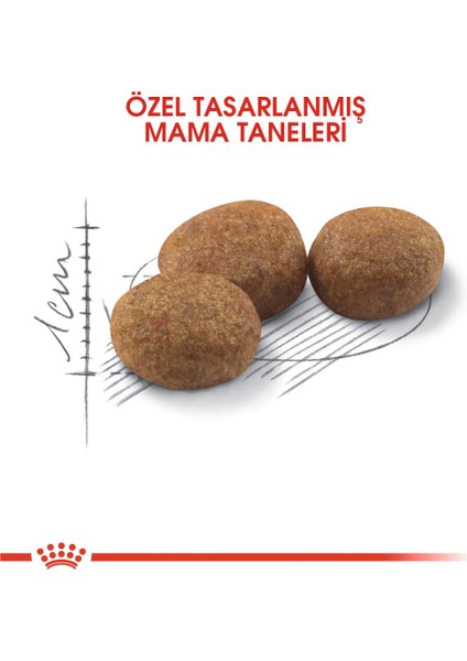 Sterilised 37 Kısırlaştırılmış Kedi Maması - 4 Kg