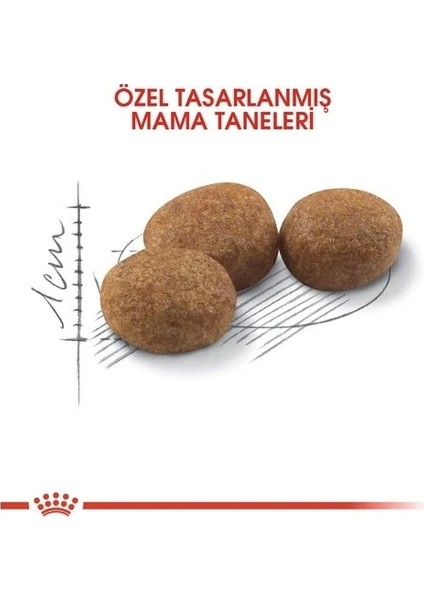Fhn Sterilised Kuru Kedi Maması 15 Kg