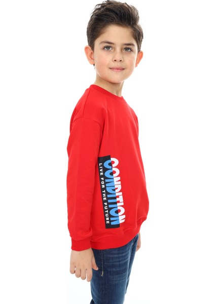 Erkek Çocuk Baskılı Sweatshirt fiyatları