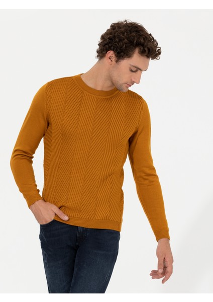 Erkek Sarı Slim Fit Bisiklet Yaka Triko Kazak 50258846-VR044