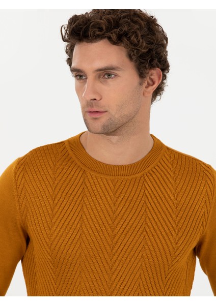 Erkek Sarı Slim Fit Bisiklet Yaka Triko Kazak 50258846-VR044