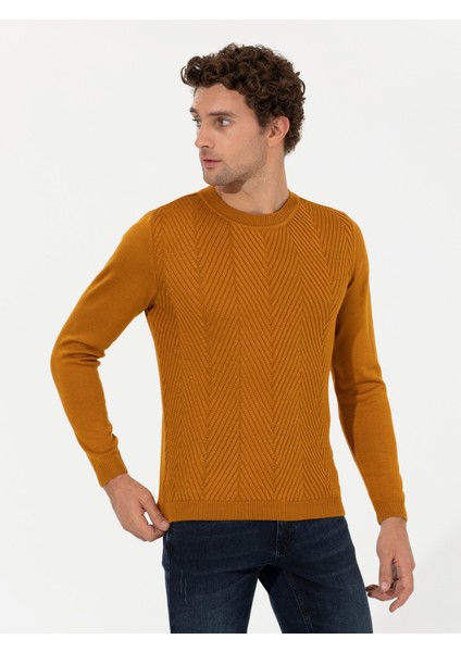 Erkek Sarı Slim Fit Bisiklet Yaka Triko Kazak 50258846-VR044