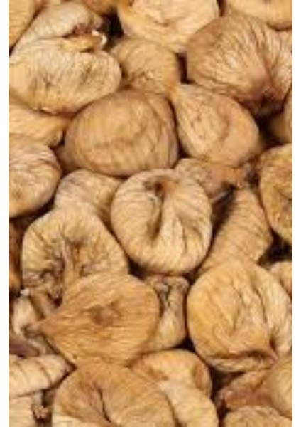 Dağ İnciri