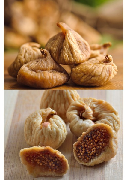 Dağ İnciri
