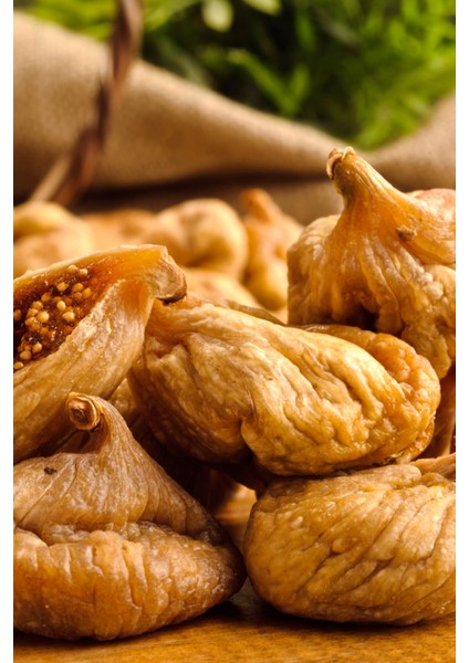 Dağ İnciri