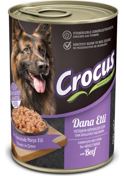 Yetişkin Köpek Dana Etli Yaş Mama 400 gr Ynsmr