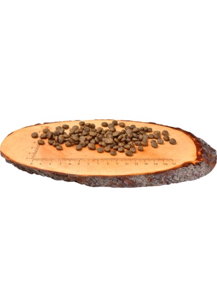 Deve Kuşu Etli & Kuzu Etli Tahılsız Küçük Irk Köpek için Kuru Mama 6 kg modelleri