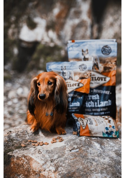 Deve Kuşu Etli & Kuzu Etli Tahılsız Küçük Irk Köpek için Kuru Mama 6 kg fırsatları