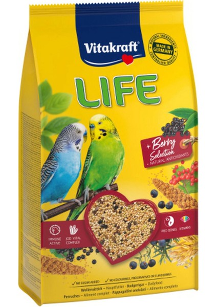 Life Muhabbet Yemi 800 gr x 2 Adet Ynsmr