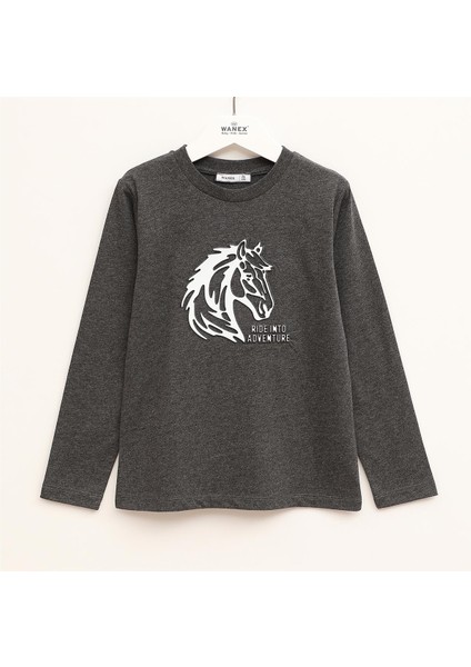 Erkek Çocuk Uzun Kol Ince Tişört - 16886 - Antrasit
