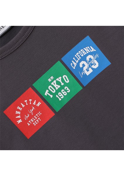 Erkek Çocuk Uzun Kol Ince Tişört - 16779 - Füme fiyatları